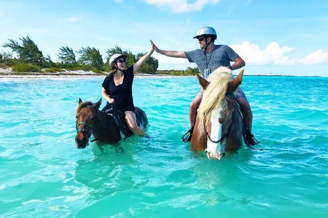 Horseback Riding with Pickup and Drop-off from Sharm El Sheikh - Who Is This Tour Best For?