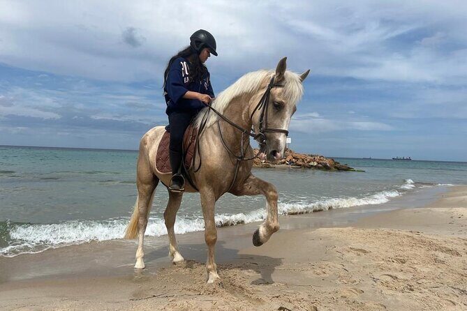 Horseback riding with private transfer - What to Keep in Mind