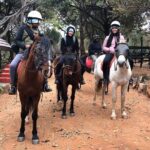 Horseback Safari & Cable Car Ride from Johannesburg - Spectacular Views from the Magaliesberg Cableway