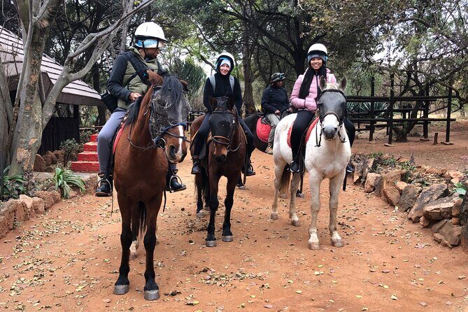 Horseback Safari & Cable Car Ride from Johannesburg - Spectacular Views from the Magaliesberg Cableway