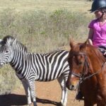 Horseback Safari Tour - Practical Details: What You Need to Know