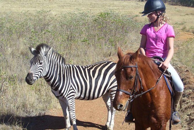 Horseback Safari Tour - Practical Details: What You Need to Know