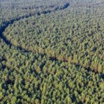 Hot Air Balloon Flight Over Trakai(transfer included) or Vilnius - Pricing and Value: Is It Worth It?