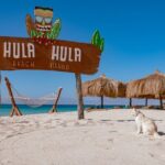 Hula Hula Island Snorkeling Full Day Boat Trip with Lunch - Potential Drawbacks or Considerations