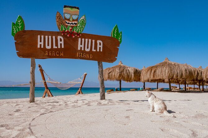Hula Hula Island Snorkeling Full Day Boat Trip with Lunch - Potential Drawbacks or Considerations