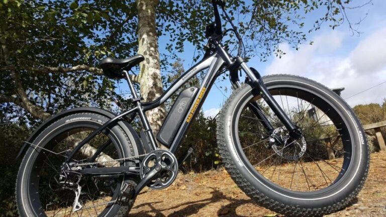 Humboldt: Electric Bike Rentals (4-Hour or Full Day options) - Who Should Consider This Experience?