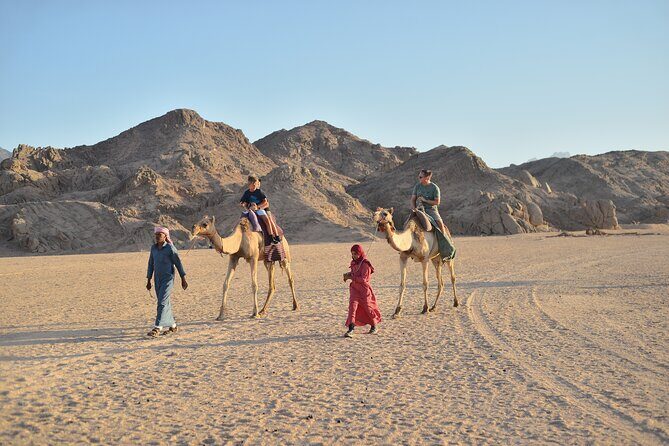 Hurghada: 4x4 Jeep Safari, Starwatching, Camel Ride & Dinner - Why This Tour Offers Great Value