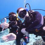 Hurghada: 6-Hour Dive Trip with Two Dive Sites - Practical Details: What You Should Know