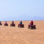 Hurghada Adrenaline Safari: ATV, Buggy, Camel, Dinner & Show - The Mixed Reviews: Safety, Organization, and Expectations