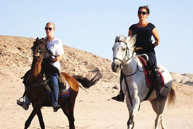 Hurghada: Arabian Desert and Sea Horseback Adventure - Things to Keep in Mind