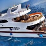 Hurghada Boat Trip to See Dolphins With Snorkeling and Lunch - Cost, Value, and Practical Tips