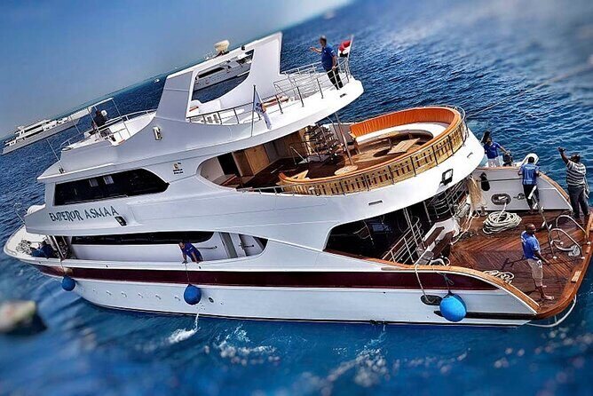 Hurghada Boat Trip to See Dolphins With Snorkeling and Lunch - Cost, Value, and Practical Tips