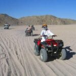 Hurghada Desert Adventure Jeep, Buggy & Quad with Dinner & Show - Short, Exciting Dune Buggy Ride