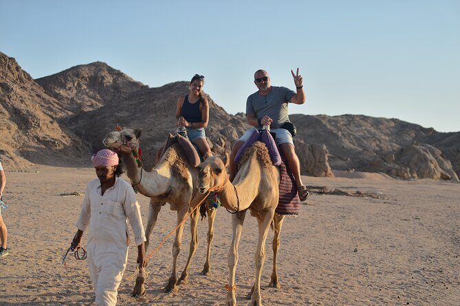Hurghada Desert Sunset & Stargazing Tour with Dinner by Jeep - What Travelers Say: Authentic Insights