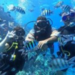 Hurghada Diving Adventure one Day with two Dives Boat Trip - What to Expect During the Dives