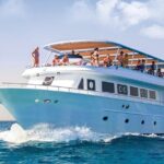 Hurghada: Dolphin World Show with Walruses and Pickup - Who Would Love This Tour?