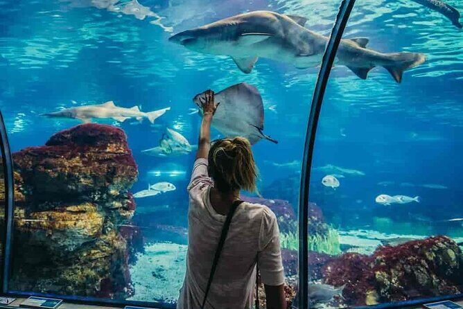 Hurghada Grand Aquarium Tour with Hotel Transfer  Hurghada - An In-Depth Look at the Hurghada Grand Aquarium Tour