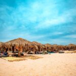 Hurghada Hula Hula Island Snorkeling Trip with Lunch & Transfer - Who Would Enjoy This Tour?