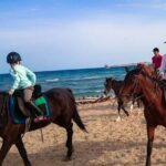 Hurghada: Makadi Water World with Lunch & Transfers - A Balanced View: Why Choose This Tour?
