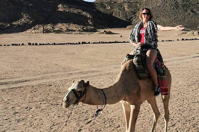 Hurghada Safari Trip Quad, Buggy, Jeep, Camel, Dinner, and Show - Practical Tips and Insights