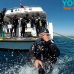 Hurghada Scuba diving - What You Can Expect Underwater