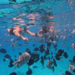 Hurghada Speedboat Trip to Orange Bay and Magawish Islands - Why This Tour Could Be Perfect for You