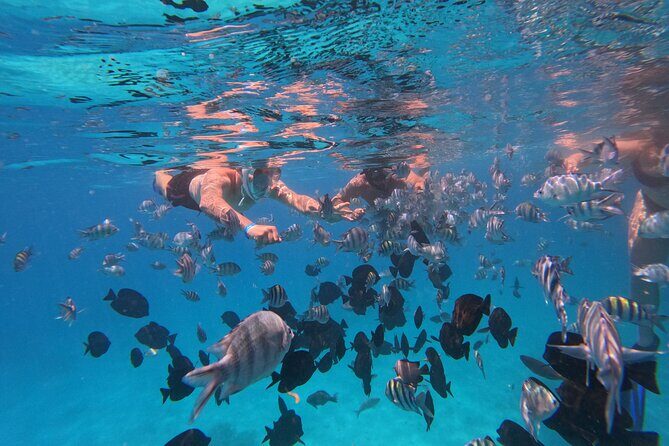 Hurghada Speedboat Trip to Orange Bay and Magawish Islands - Why This Tour Could Be Perfect for You