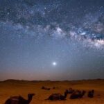 Hurghada: Star Watching Desert Adventure by Jeep with Dinner - In-Depth Look at the Activities
