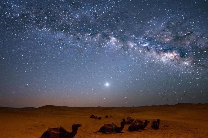 Hurghada: Star Watching Desert Adventure by Jeep with Dinner - In-Depth Look at the Activities