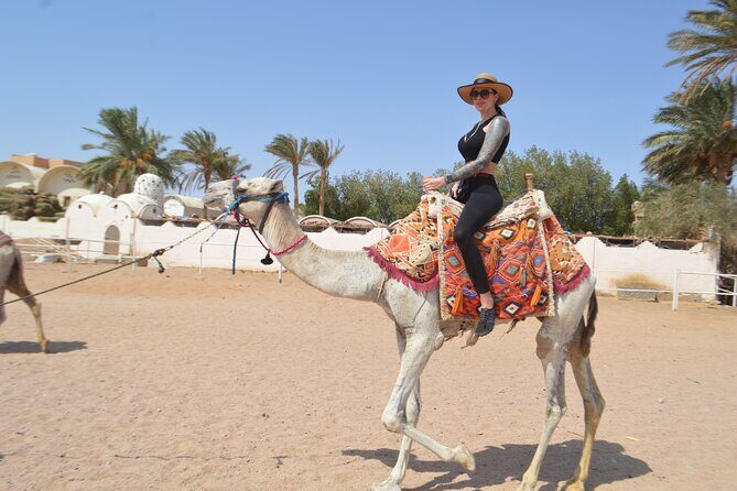 Hurghada: Stargazing, Camel Ride, Quad Bike, Bedouin Dinner, Show - Detailed Breakdown of the Itinerary