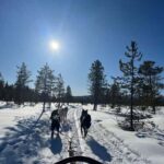 Husky Tour Experience in Levi - The Itinerary in Detail