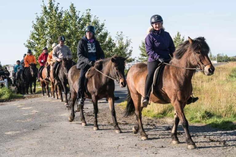 Hveragerdi: The Siggi Horse Riding Tour - Who Should Consider This Tour?