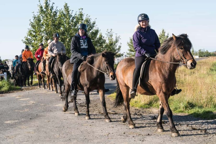 Hveragerdi: The Siggi Horse Riding Tour - Who Should Consider This Tour?