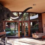 Hwange 3 day Safari - Authentic Insights from Reviewers