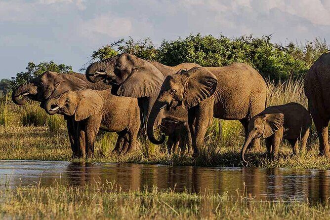 Hwange Day Trip - Practicalities and Value