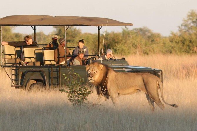 Hwange (Safari) Day Trip from Victoria Falls - Value and Pricing