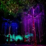 IBIZA: Astro Magic Lights at Bibo Park - What to Expect from the Tour: In Detail