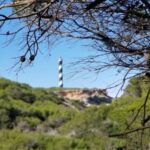 Ibiza: Crystal Coast Walk with Swim Stop - What’s Included and What to Keep in Mind