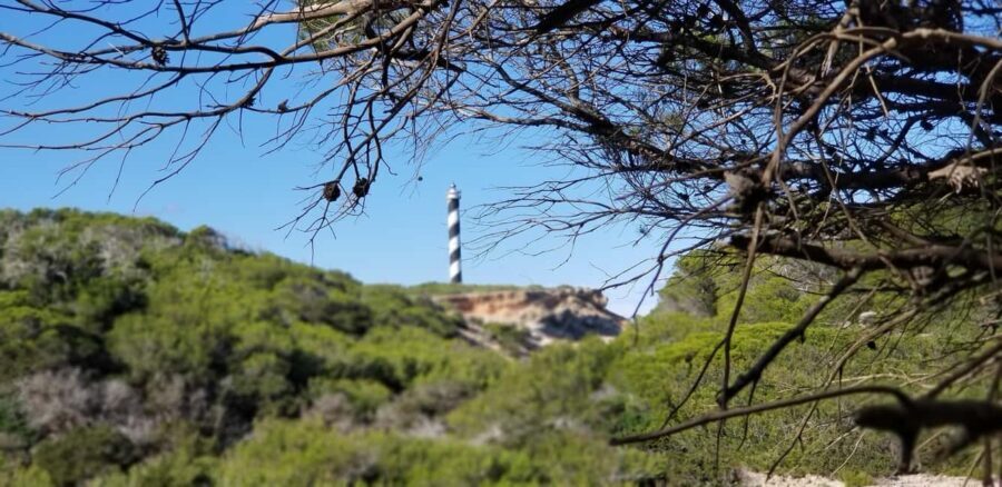 Ibiza: Crystal Coast Walk with Swim Stop - What’s Included and What to Keep in Mind
