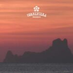 Ibiza: Formentera Sailing w/BBQ, Open Bar & Water Activities - The Value and Considerations