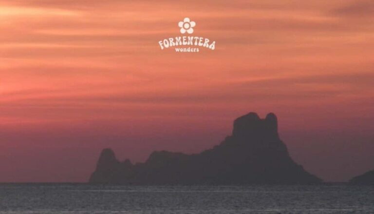 Ibiza: Formentera Sailing w/BBQ, Open Bar & Water Activities - The Value and Considerations
