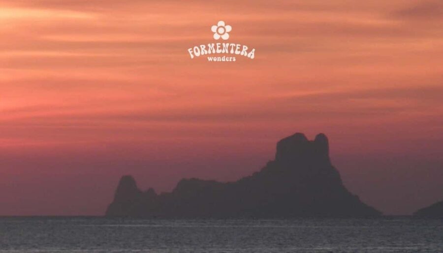 Ibiza: Formentera Sailing w/BBQ, Open Bar & Water Activities - The Value and Considerations