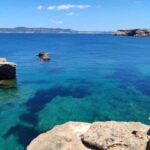 Ibiza: Guided Snorkeling Trip - The Value of This Experience