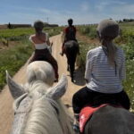 Ibiza: Private Horseback Ride + Picnic + Transport - Who Will Love This Experience?