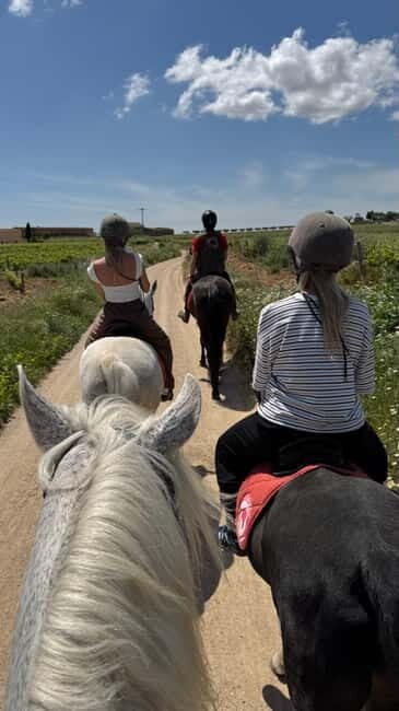 Ibiza: Private Horseback Ride + Picnic + Transport - Who Will Love This Experience?
