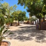 Ibiza shore excursion - Private tour - Frequently Asked Questions