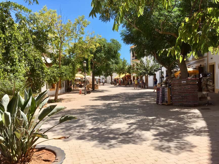 Ibiza shore excursion - Private tour - Frequently Asked Questions