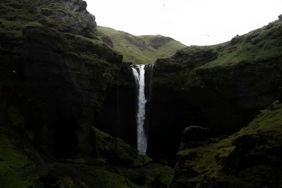 Iceland: South Coast Hidden Gems and Caves of Hella Day Tour - Who Would Love This Tour?