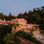 Ikaria, Two Family-run Wineries in a single Day with Pick-Up - The Sum Up