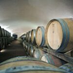 Il Molino di Grace: Vineyard & Cellar Tour with Wine Tasting - Final Thoughts: Is This Tour Right for You?